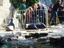 Tiergarten Schönbrunn 16.10.2024